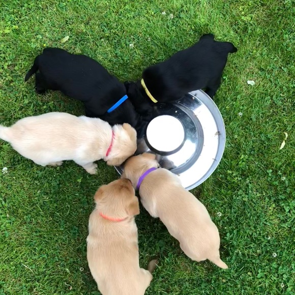 Meet your Posher, Jeanne - Picture 1 of 1